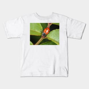 Hippodamia convergens (convergent lady beetle) Kids T-Shirt